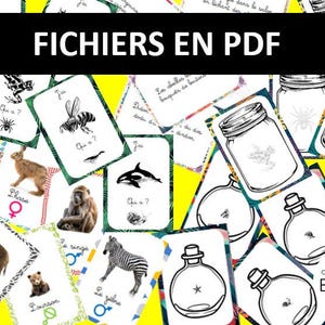 5 jeux de cartes sur le thème des animaux, fichier PDF à télécharger, activité enfant, maternelle, primaire