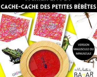 Jeu Observation Insectes PDF – Cache-Cache Filtre Rouge, Cherche et Trouve Montessori à Imprimer, Maternelle