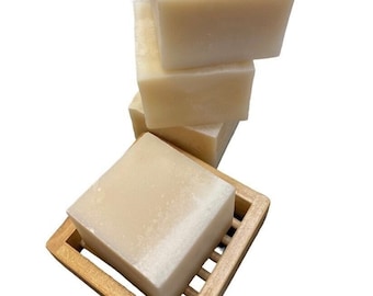 4 Solid Dish Soap + Soap Holder