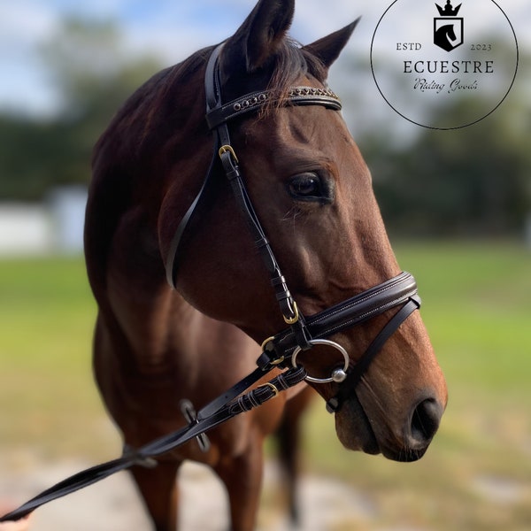 Dressage Browband Etsy