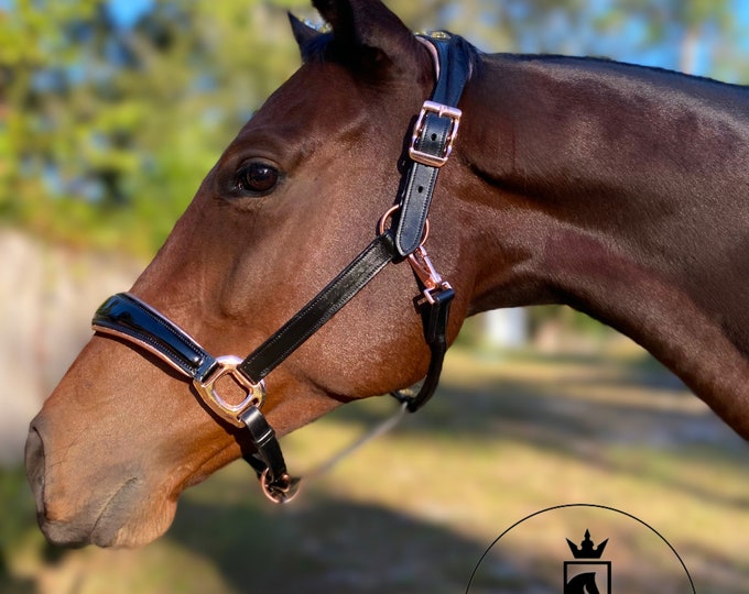 Featured listing image: Luxury anatomical leather horse halter