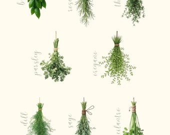 Botaniczny wydruk ścienny z ziołami, kuchnia w stylu rustykalnym, wystrój Cottagecore, bazylia, rozmaryn, tymianek
