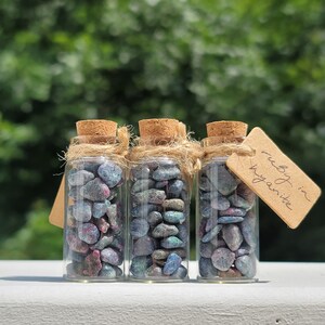 May include: Three small glass bottles filled with ruby in kyanite crystals. The bottles are tied with twine and have cork tops. A handwritten tag reads "ruby in kyanite".