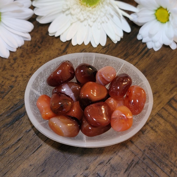 Carnelian Tumble (small) -- Courage, Success, Strong Sense of Self