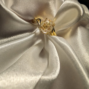 Bague commémorative, Bijoux en cendres d'animal de compagnie, Souvenir de crémation, Bague personnalisée pour animal de compagnie, Fourrure et cendres d'animal de compagnie, Bijoux du souvenir, Cadeau perdu