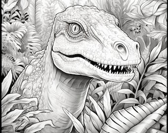 Dinosaur Coloring Book