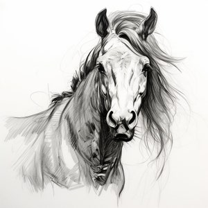 Horse Coloring Page