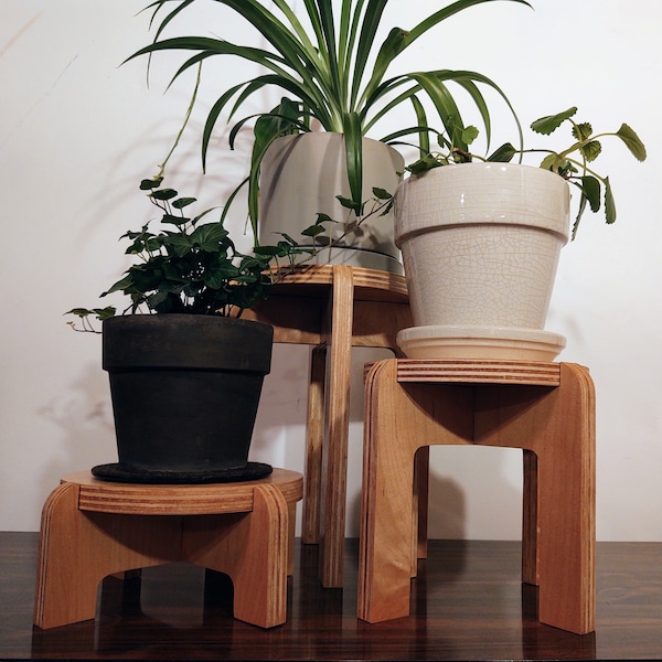 Set of 3 Wooden Indoor Plant Stands - Risers