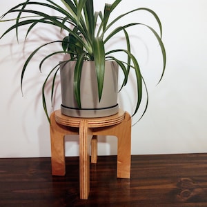 8 Inch Tall Wooden Indoor Plant Stand - Riser
