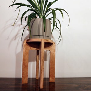 12 Inch Tall Wooden Indoor Plant Stand - Riser