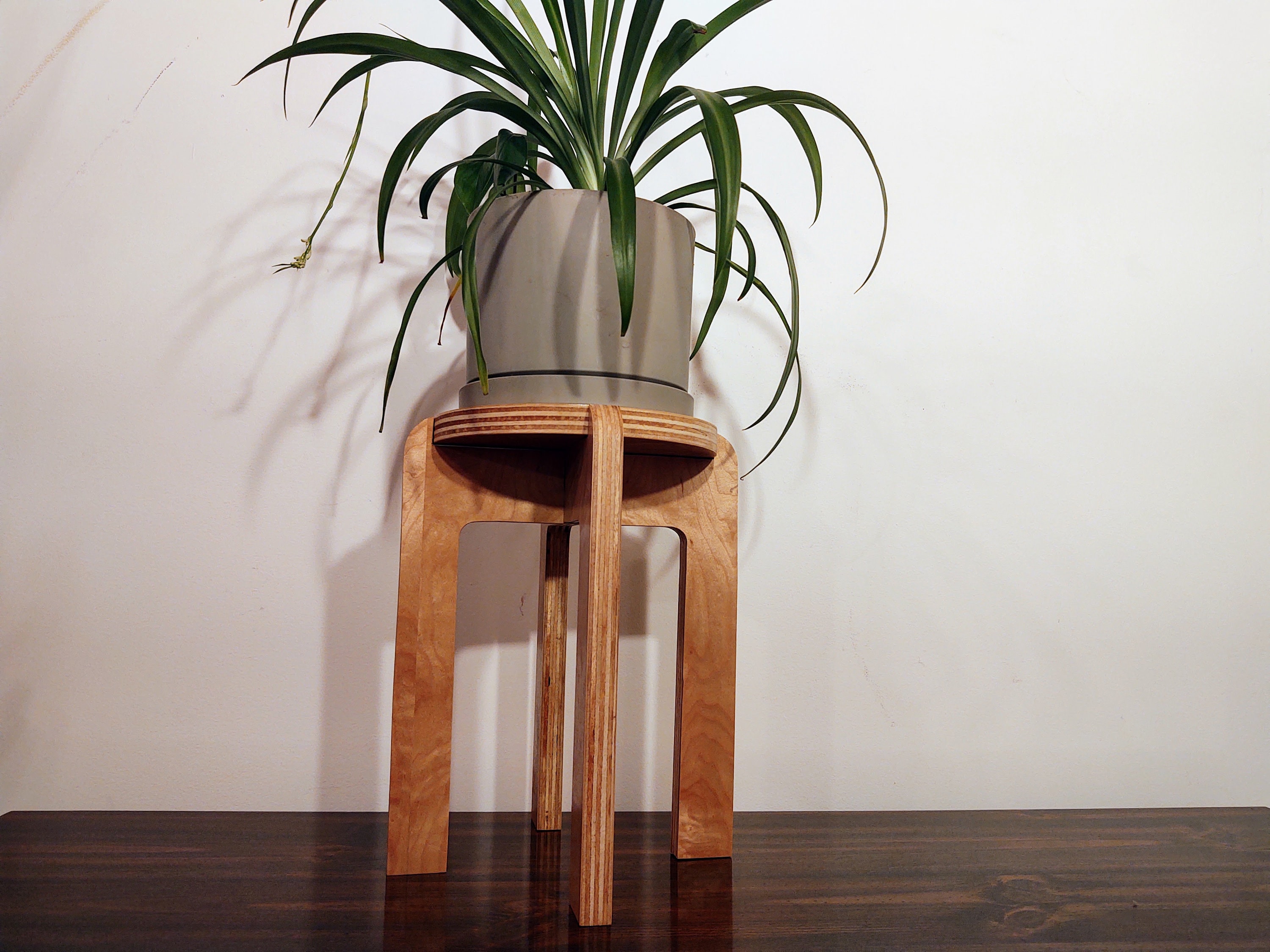 12 Inch Tall Wooden Indoor Plant Stand Riser Etsy