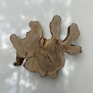 Olive Wood Slab for Live Edge DIY Wood Art, Uniqe Wood Slice for Epoxy, Unique Olive Root Burl Slices, Natural Wood Planks