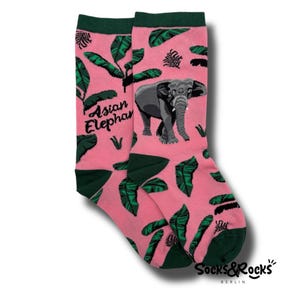 Elefantensocken