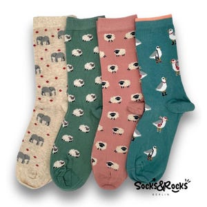 Tier Socken