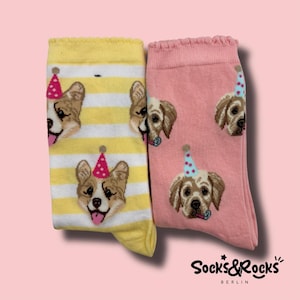 Meias de cachorro para aniversário | Meias para cachorro | Ideia de presente de aniversário | meias de animais | meias engraçadas | meias fofas | meias coloridas | Ideia de presente acessível