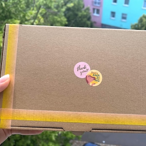Mystery Sox - Mystery Box (L Size)