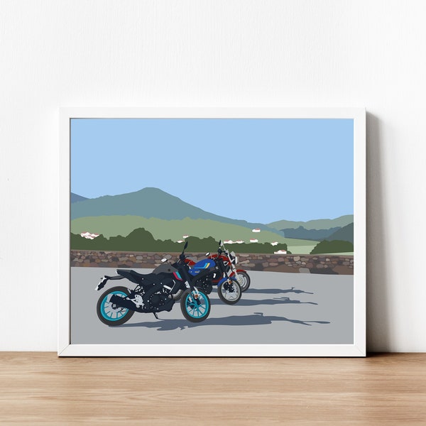 Illustration personnalisée de motos, motards, motardes, poster, cadeau, art mural, biketok, biker