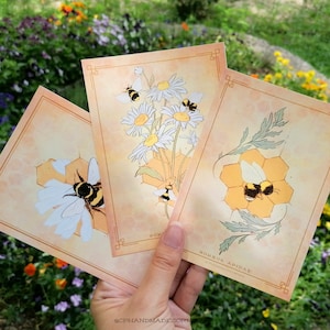 Cartoline A6 della collezione Bumblebee - 3 modelli | Cartolina delle api, cartolina botanica | Cancelleria delle api | Favo, cartolina dell'ape