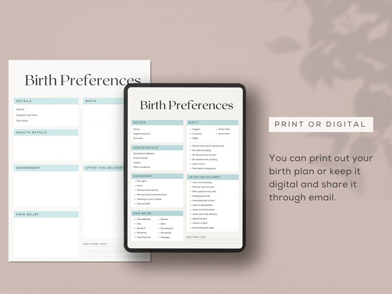 Birth Plan Template Birth Preferences Editable Plan Template Sample ...