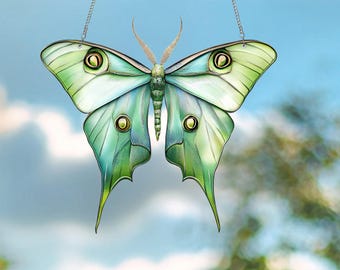 Luna Moth Acrylic Window Hanging: Butterfly Art Decor
