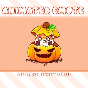 Gesto animado de panda rojo con dedo medio para Halloween, emoticono animado de panda rojo con calabaza para Twitch y Discord, emoticono animado de calabaza para streamer