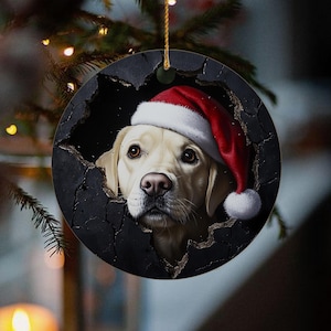 Può includere: Un Labrador Retriever bianco con un cappello rosso di Babbo Natale spunta da un muro nero screpolato. Gli occhi del cane sono visibili e ha un'espressione dolce sul viso. Questo è un ornamento natalizio.