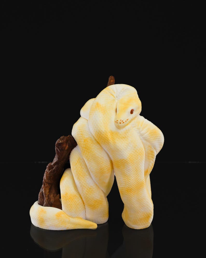 Może przedstawiać: Biały i ż&oacute;łty wąż boa albino, zwinięty na brązowej gałęzi. Wąż jest zwinięty w ciasny spiralny kształt, z głową spoczywającą na ciele.