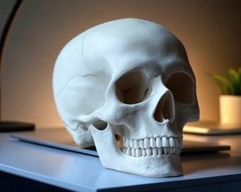 Ludzka czaszka – anatomicznie poprawna, wydrukowana w 3D i idealna do dekoracji lub edukacji