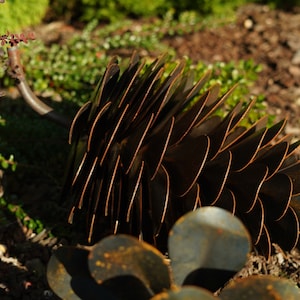 Handcrafted pine cone sculpture - rusty design for garden decoration, Size 50 cm x 35 cm