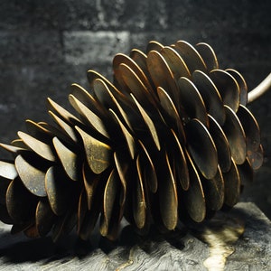 May include: A large, bronze-coloured metal pinecone sculpture. The pinecone is made of many overlapping, rounded plates, and has a curved stem. The sculpture is displayed on a grey, textured surface against a dark background.