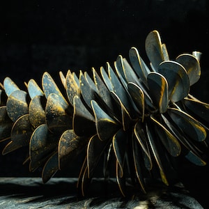 May include: A metal sculpture of a pine cone with a rustic, aged finish. The cone is made up of many individual metal pieces that are arranged in a spiral pattern. The metal has a dark blue and gold colour.
