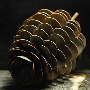 May include: A bronze-coloured pinecone sculpture. The sculpture is made up of many overlapping, circular scales. The pinecone has a stem and is set against a dark background, creating a striking contrast.