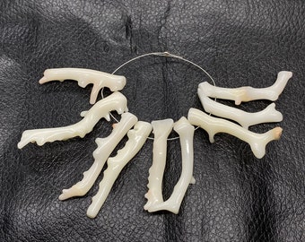 Natural White Coral Branch Sticks: Japanese Coral Jewelry Making Supplies