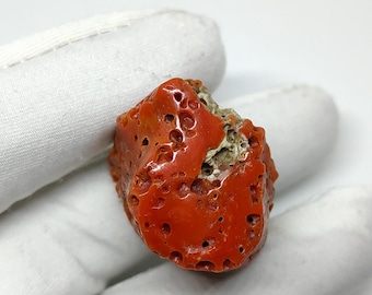 AA Italian Red Coral Vintage Old Red Coral Big Rough. Size 25X30 MM (7Carat) Polished Polished Red Coral Reef, Coral Stick Gemstone