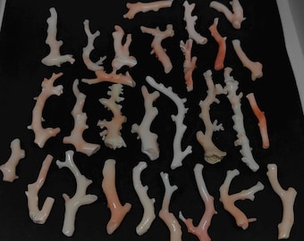 Japanese Pink Salmon Coral Branch Lot: Rough Jewelry Making (650 Carat)