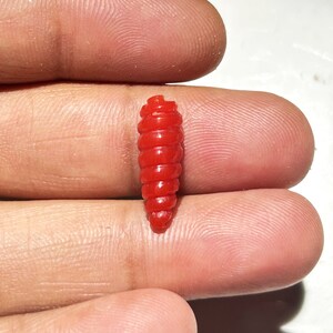 Puede incluir: Un se&ntilde;uelo de pesca de pl&aacute;stico rojo con forma de gusano.