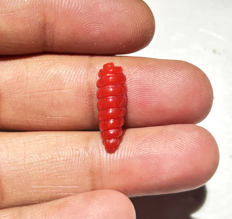 Puede incluir: Un se&ntilde;uelo de pesca de pl&aacute;stico rojo con forma de gusano.