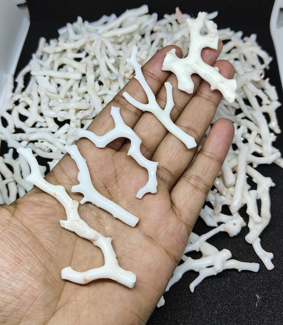 Milky White Coral Polished Rough Branch Lot-natural Japanese White