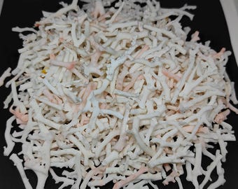 100 Carat Small Natural Japanese White Coral Branches – Unpolished Rough Tree Sticks