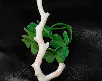 Japanese White Coral Branch: Polished Rough Sea Coral for Jewelry Making
