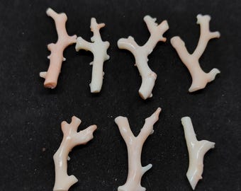 Japanese White Coral Branch Lot: Rough Jewelry Making Supplies