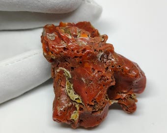 Rama de coral rojo natural: Gema pulida italiana, para joyería