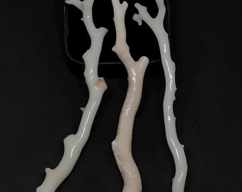 Polished White Coral Gemstone Tree: Natural Underwater Rough Branch (110-120mm)