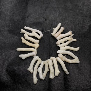 Op de afbeelding: Een witte koraaltak ketting met een draadlus sluiting. De ketting is gemaakt van natuurlijke koraaltakken en is een mooi en uniek sieraad.