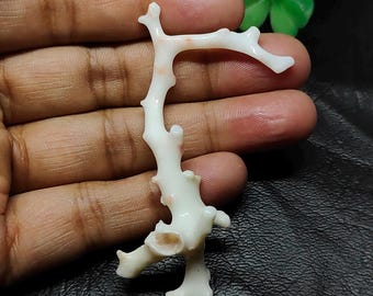 Natural Japanese White Coral Branch: Raw Gemstone for Jewelry Making