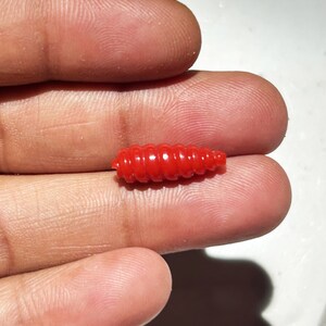 Puede incluir: Un se&ntilde;uelo de pesca de pl&aacute;stico rojo segmentado con forma de gusano.