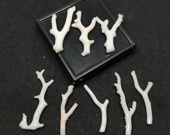 Japanese White Coral Branch Lot: Undyed Rough Jewelry Making