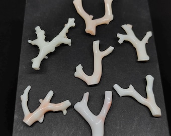 Japanese White Coral Branch Lot: Rough Polished Jewelry Making