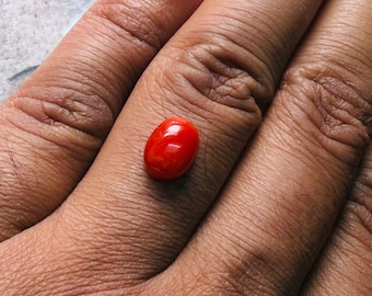 Cabujón de coral rojo intenso AAA: piedra preciosa ovalada mediterránea (10 x 7 x 3 mm)