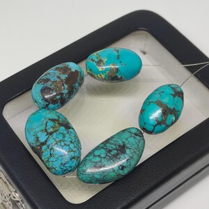 Könnte beinhalten: Fünf türkisfarbene Edelsteinperlen mit braunen Matrixmustern werden in einer schwarzen Schmuckschatulle präsentiert. Die Perlen sind oval geformt und auf einem dünnen, transparenten Draht aufgefädelt. Die türkise Farbe ist lebendig, mit dunkelbraunen Adern.